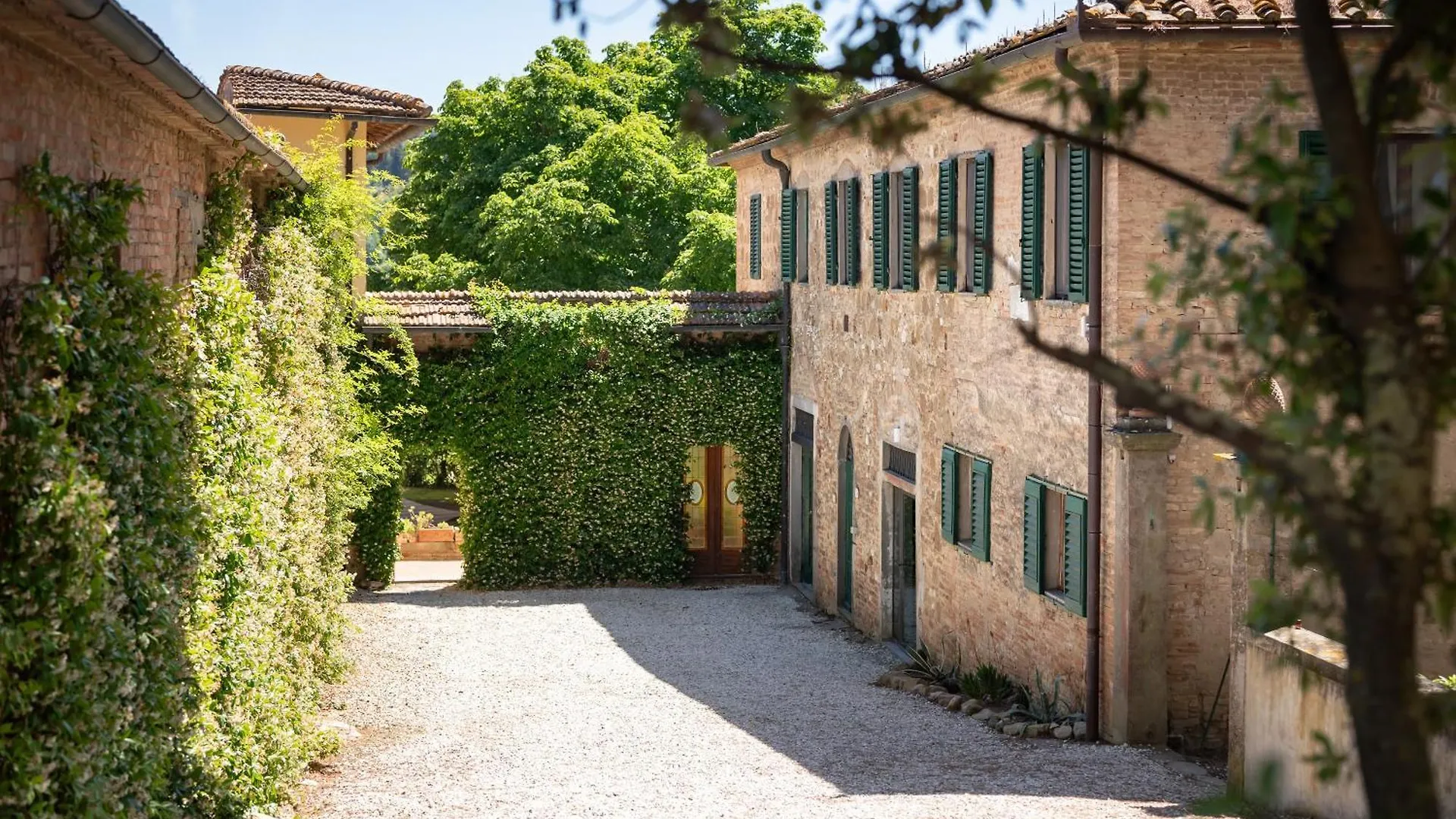 Agriturismo Bio Fattoria Bacio Certaldo Landhaus